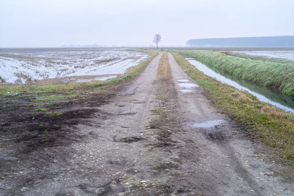 Panorama Hivernal Région Rurale Lomellina Entre Lombardie Piémont Italie Nord — Photo