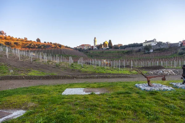 Panorama Atardecer Viñedo Sobre Las Colinas Detrás Chiavari Región Liguria —  Fotos de Stock