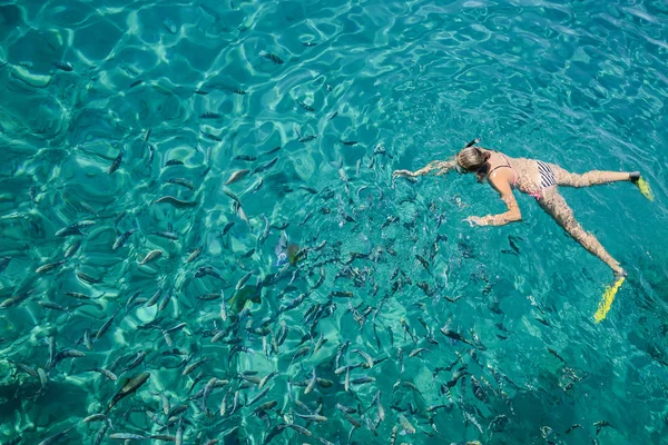 Scuba duiker met vinnen drijvend in de zee in helder water, — Stockfoto