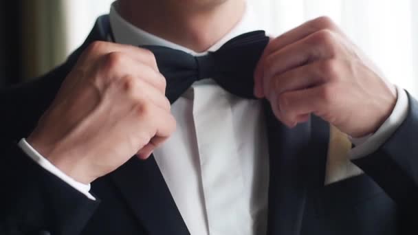 Man adjusts black bow tie closeup slow motion. Male hands correct bowtie on white shirt wear suit prepare for wedding. Gentleman fashion trends fashionable stylish businessman outfit party light image — Stock Video