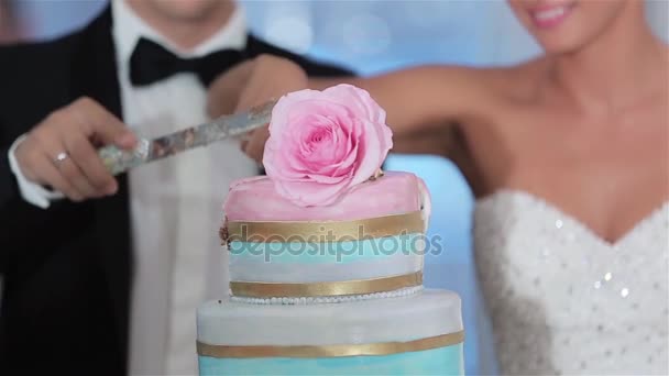 Hochzeitstorte schneiden kein Gesicht Nahaufnahme Zeitlupe Messer Detail Dekoration flache Schärfentiefe. Braut und Bräutigam Hände teilen schöne rosa Rose dekorierte Hochzeitstorte in Stücke zusammen — Stockvideo