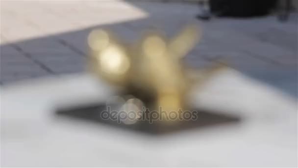 Wedding rings pair lying in front of golden birds couple statuette guarding and waiting for bride and groom extreme close up rack focus shift from blur. Love faithfulness traditions high day concept — Stock Video