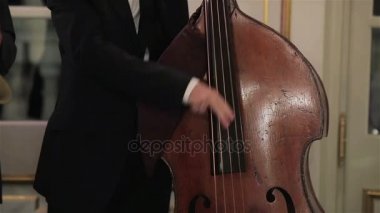 Kontrbas elle oynama koparma dizeleri kapatın. Adam müzisyen parmak Pizzicato tekniği kontrbas kontrbas çello ritim gerçekleştirmek Caz Konseri sahnede canlı. Akustik bas enstrüman