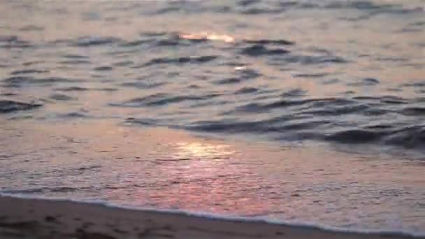Morskie fale oceanu przewrócić plaży piasek o zachodzie słońca Zamknij się. Różowy seascape z powierzchni wody odbicie słońca. Romantyczny widok tło z Ptak Mewa mucha w niebo. Podróż relaks spokój koncepcja — Wideo stockowe