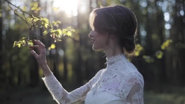 优雅的女人穿着白色的连衣裙漫步在春天森林树林里 抚摸着绿叶微笑着背光的阳光 年轻女孩享受生活地球生态生活方式的沟通与自然 青年女性美 — 图库视频影像