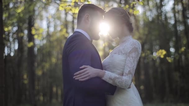 Man Vrouw Gelukkige Paar Omarmen Met Liefde Voorjaar Bossen Backlit — Stockvideo