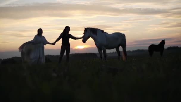 Młoda Para Romantyczną Randkę Głaskanie Konia Wieczorem Zachód Światło Podświetlany — Wideo stockowe
