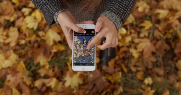 公園の屋外で黄色の秋の葉に立って彼女の足のブーツの写真を作る顔のない女の子 オープンカメラアプリケーショントップビュースローモーションでスマートフォンを保持する女性の手 スマートテクノロジー — ストック動画
