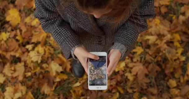 Молода Дама Фотографує Ноги Жовтому Листі Фоні Парку Відкритому Повітрі — стокове відео