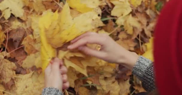 黄色のカエデの葉の花束を作る近くの女性の手のトップサイドビュー屋外公園の背景を残します 乾燥した秋の葉を保持顔のない女性は浅い動きを遅らせます 季節の変化自然 — ストック動画