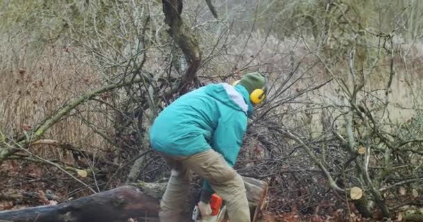 Widok Tyłu Nierozpoznawalnego Człowieka Trzymającego Piłę Łańcuchową Wycinającą Drewno Zewnątrz — Wideo stockowe