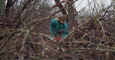 Sonbaharda arka planda ağır çekimde çalışan amatör oduncu. Ağaç dallarını kesen bir adam, orman el bilgisayarı temizliyor. Doğal yaşam tarzı kırsal yaşam