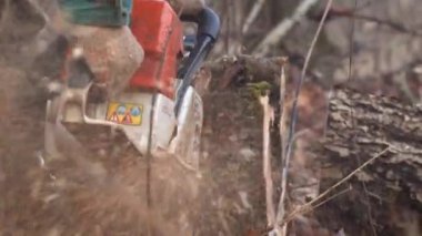 Elektrikli testereyle kameraya uçan testere talaşının makro video görüntüsü. Arka plan ağır çekim. Yüzü olmayan oduncu kereste testeresi kesiyor. Ahşap endüstrisi teknolojisi