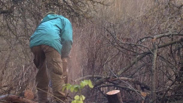 Vue Arrière Menuisier Méconnaissable Sciant Tronc Bois Extérieur Dans Campagne — Video