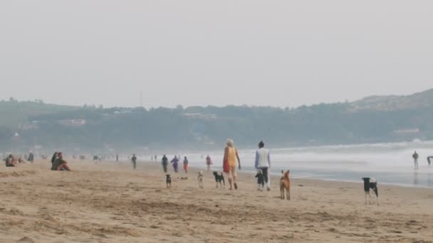 Gokarna India Febrero 2020 Personas Caminando Playa Arena Niebla Mañana — Vídeo de stock