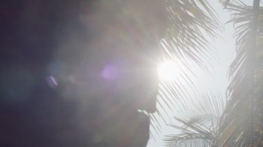 Palmiye ağaçlarının arasından parlayan güneş yavaş çekimde sallanır. Huzurlu doğal manzara tropikal duvar kağıdı mercekleri parlıyor. Güneşli çiçekli arka plan, sıcak güneş ışığı. Zen meditasyon sakinliği