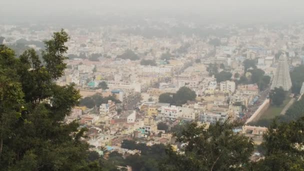 Aerial Panoramic Shot Indian Sacred Temple Tiruvannamalai Green Leaves Frame — Stock Video