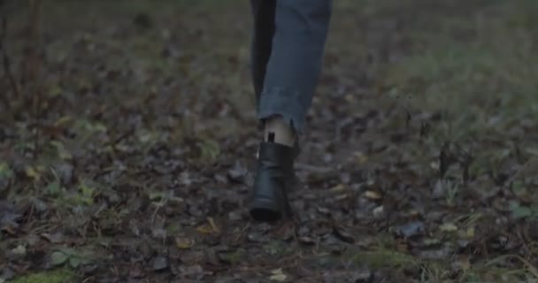 Female Feet Walk Along A Forest Path — Stok video