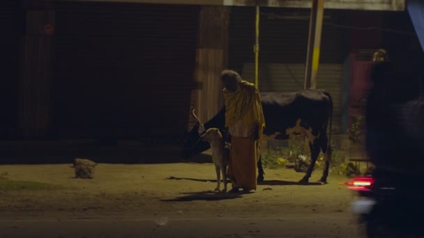 TIRUVANNAMALAI, INDE - 1er FÉVRIER 2020 : vieil homme en vêtements indiens debout dans la rue de nuit avec un cigare fumant du chien et de la vache. Sâdhu authentique posant sur fond urbain avec animal de compagnie en soirée au ralenti . — Video