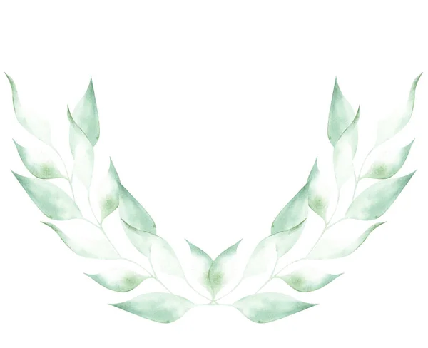 Obrázek Akvarel Zelených Listů Rostlin Bílém Izolovaném Pozadí Formě Květního — Stock fotografie