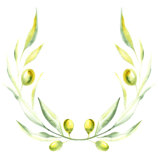 Illustration Olive Branch Form Colored Floral Wreath Leaves Fruits Rectangular — Stock Photo, Image