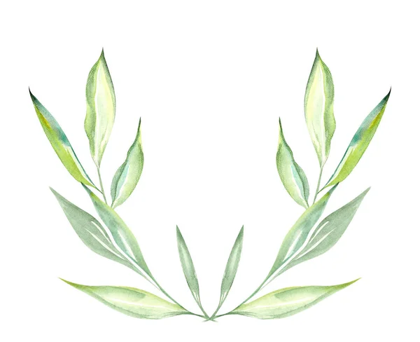 Obrázek Akvarel Zelených Listů Rostlin Bílém Izolovaném Pozadí Formě Květního — Stock fotografie