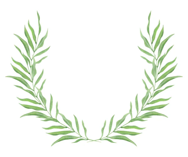 Иллюстрация Акварельного Рисунка Зеленых Листьев Растений Белом Изолированном Фоне Виде — стоковое фото