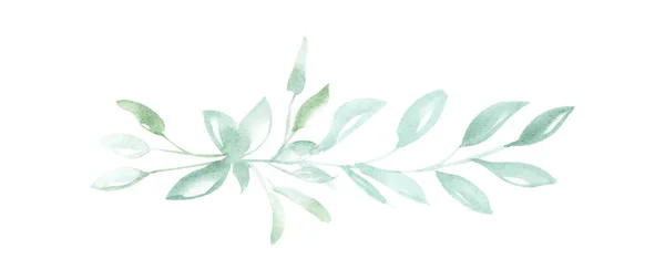 Illustratie Van Aquarel Tekenen Van Groene Takjes Planten Een Witte — Stockfoto