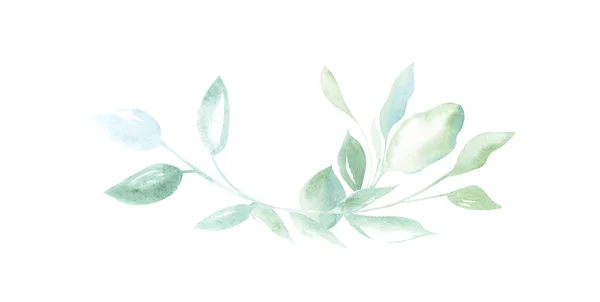 Ilustração Aquarela Desenho Elementos Decorativos Plantas Verdes Folhas Forma Quadros — Fotografia de Stock