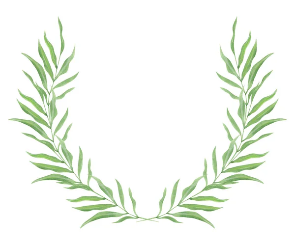 Ilustracja Akwarela Rysunek Zielonych Liści Roślin Białym Białym Tle Postaci — Zdjęcie stockowe