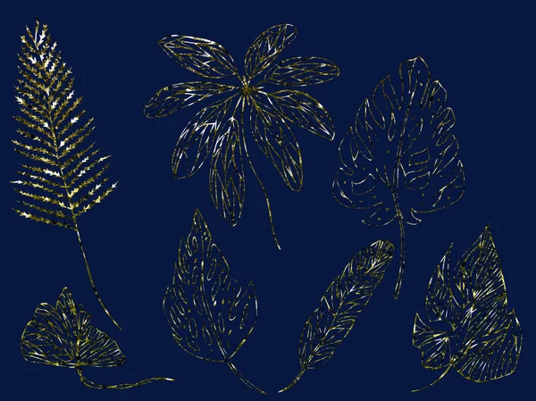 插图绘制素描金黄色与火花轮廓叶子的异国情调的植物在隔离的一组 — 图库照片