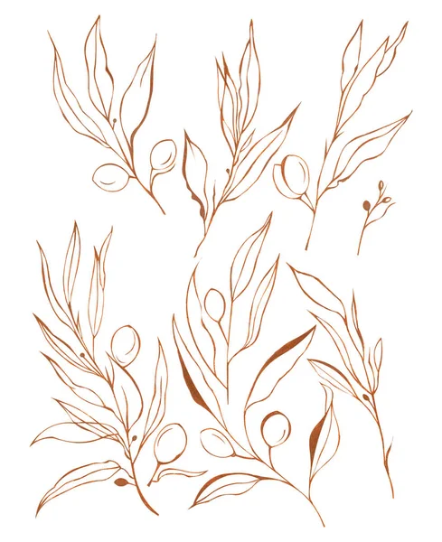 Иллюстрация Акварельный Рисунок Оранжевого Цвета Стилизованных Ветвей Оливковых Фруктов Комплекте — стоковое фото