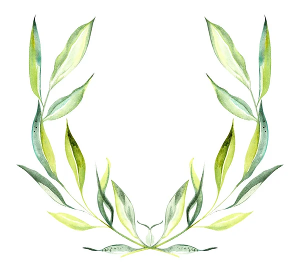 Illustration Olive Branch Form Colored Floral Wreath Leaves Fruits Rectangular — Stock Photo, Image