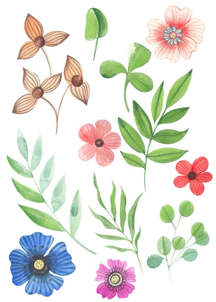 水彩画彩色花与叶子在孤立的白色背景的插图 — 图库照片