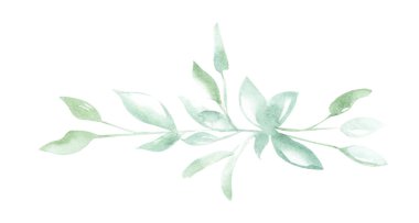 Bir süs şeklinde beyaz izole arka plan üzerinde bitkilerin yeşil sprigs çizim suluboya İllüstrasyon