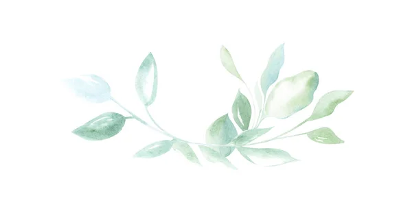 Illustrazione Disegno Acquerello Elementi Decorativi Piante Verdi Foglie Sotto Forma — Foto Stock