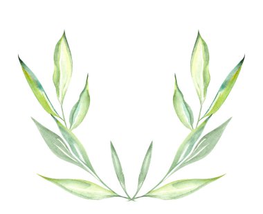 Çiçek li yarım daire şeklinde beyaz izole arka plan üzerinde bitkilerin yeşil yaprakların bir suluboya çizim Illüstrasyon