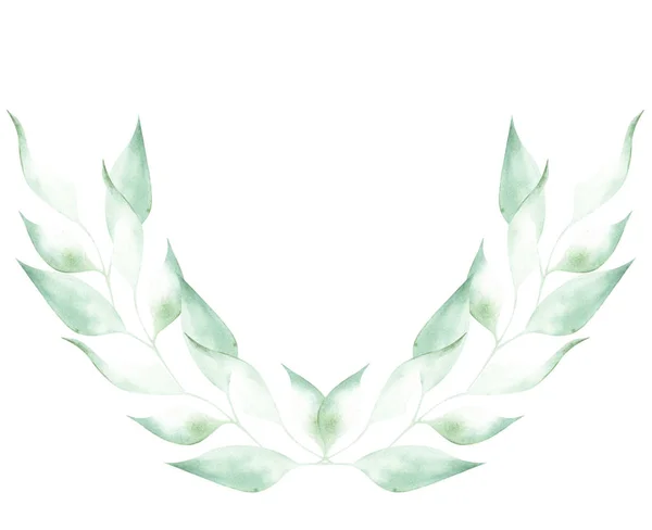 Ilustracja Akwarela Rysunek Zielonych Liści Roślin Białym Białym Tle Postaci — Zdjęcie stockowe