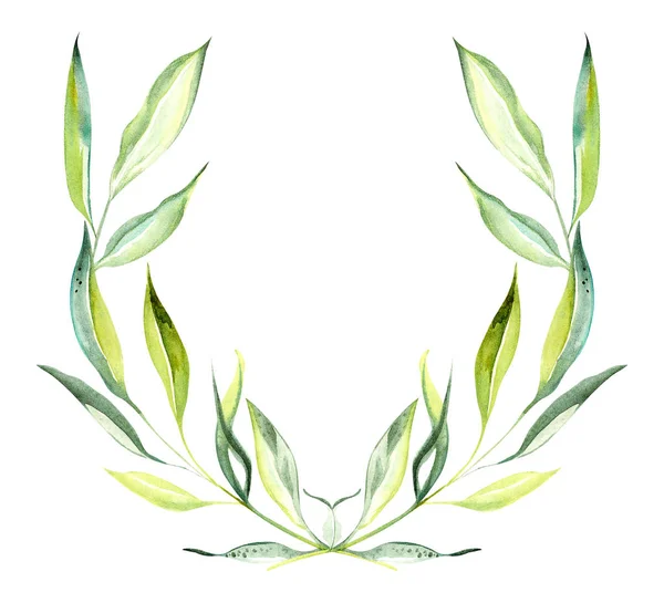 Illustration Olive Branch Form Colored Floral Wreath Leaves Fruits Rectangular — Stock Photo, Image