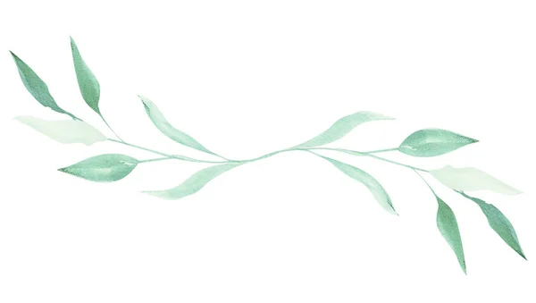 Illustration Eines Aquarellzweiges Einer Pflanze Mit Blättern Als Dekoration Auf — Stockfoto
