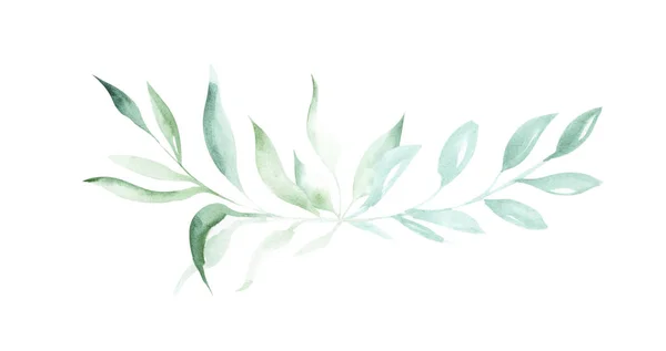 Illustration Aquarelle Dessinant Des Éléments Décoratifs Plantes Feuilles Vertes Forme — Photo