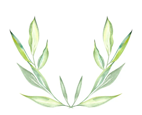 Illustration Watercolor Drawing Green Leaves Plants White Isolated Background Form — Stock Photo, Image