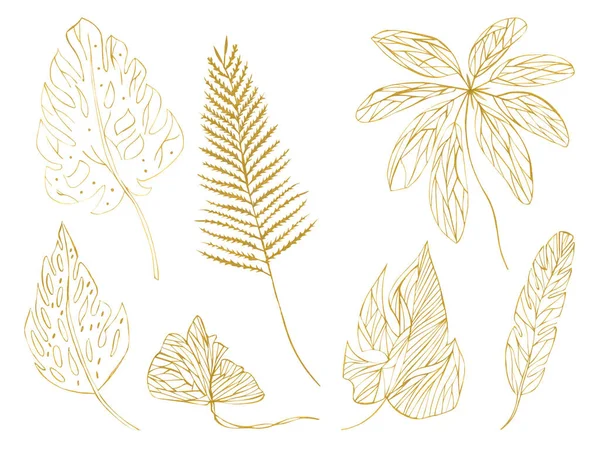 插图绘制异国植物的橙色轮廓叶子在白色隔离的层作为一组 — 图库照片