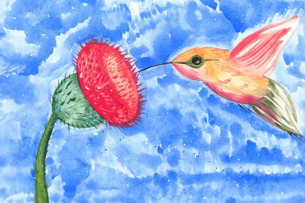 Ilustração Desenho Colorido Beija Flor Aquarela Comendo Pólen Uma Flor — Fotografia de Stock