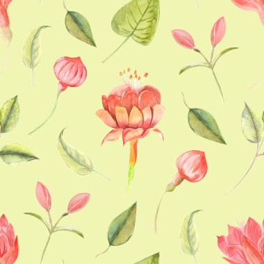 Kusursuz suluboya desenli, çiçekli fuşya ve yapraklı. Renkli arka planda..