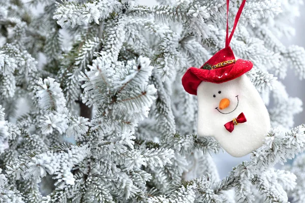 Naturtanne und Tanne mit Frostweihnachtsdekor überzogen — Stockfoto