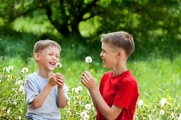 Two boys laugh and blow on a dandelion — Stock Photo, Image