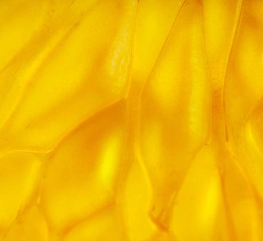 Fotoğraf desen limonata yapısının; Fotoğraf hücreleri (granül)