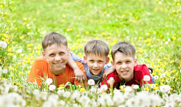 Three smiling boys lie on a glade of dandelions — Stock Photo, Image