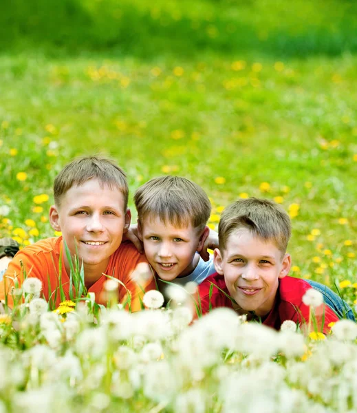 Üç gülümseyen çocuklar dandelions glade üzerinde yalan — Stok fotoğraf